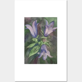 Watercolour painting of purple blue harebells Posters and Art